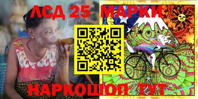 прущие грибы Можайск