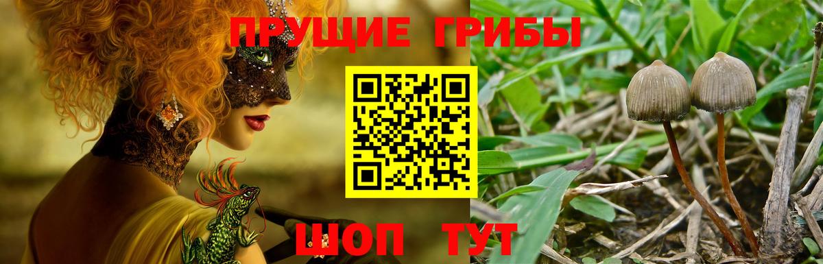Псилоцибиновые грибы мухоморы Верхняя Салда
