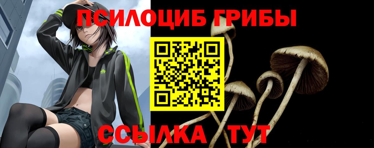 Верхняя Салда  Галлюциногенные грибы MAGIC MUSHROOMS  Галлюциногенные грибы ЛСД  Вход с VPN 